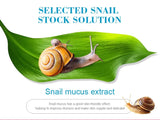 Snail Removes Stretch Mark Cream To Remove Post — vue complémentaire 6