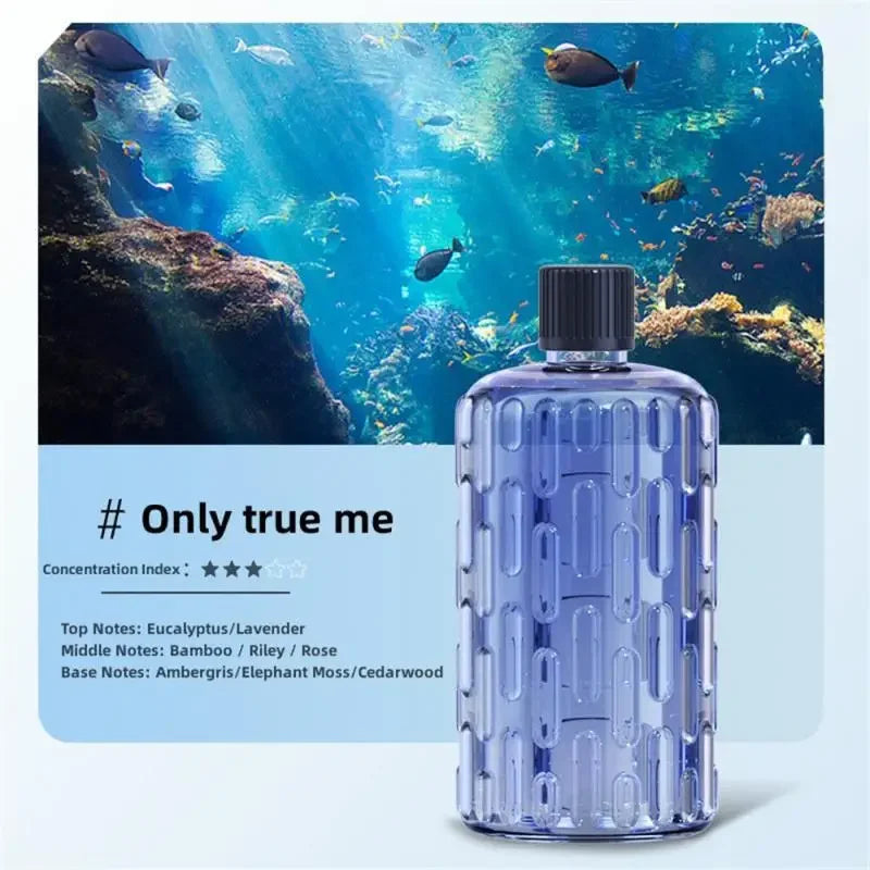 Diffuseur huiles essentielles aromathérapie Mybooni — Humidificateur purificateur d'air